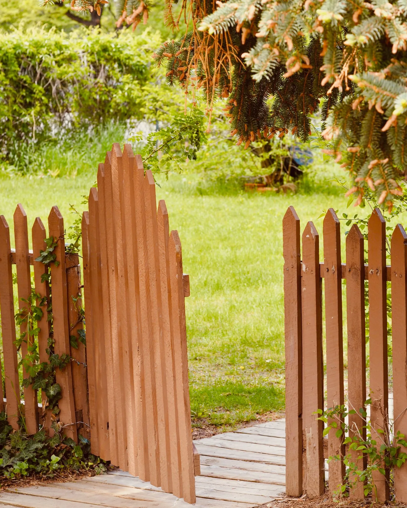 Hand-built cedar driveway gate on a steel frame, built by Standard Fence near San Leon, Texas