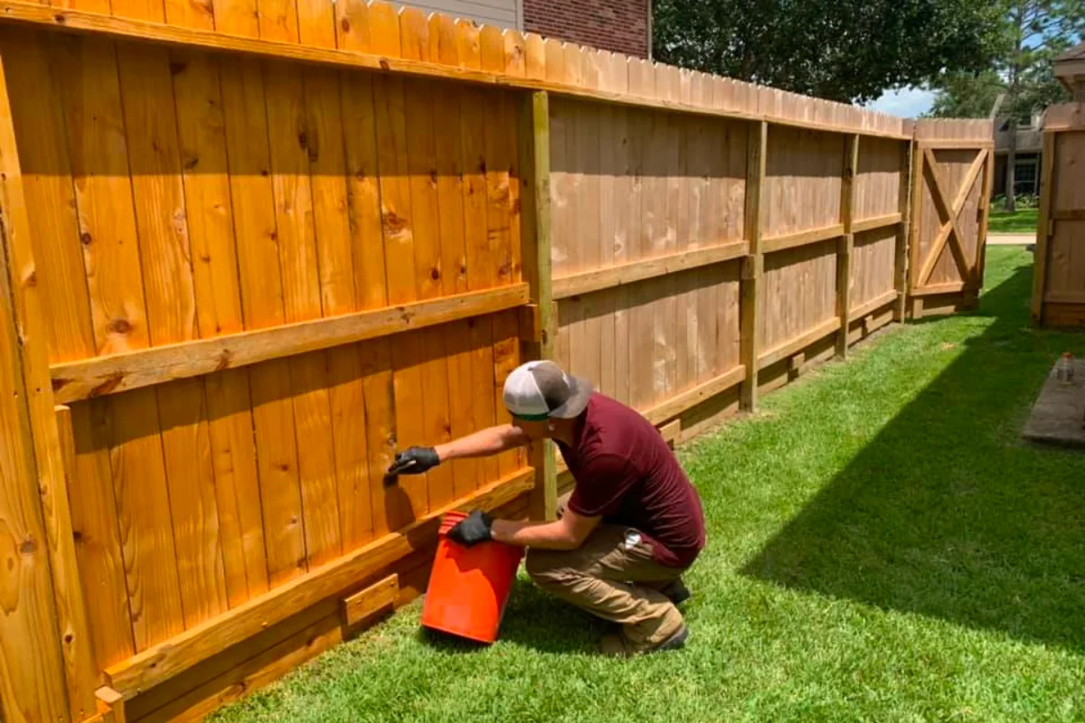 Fence Staining by Standard Fence in San Leon, TX