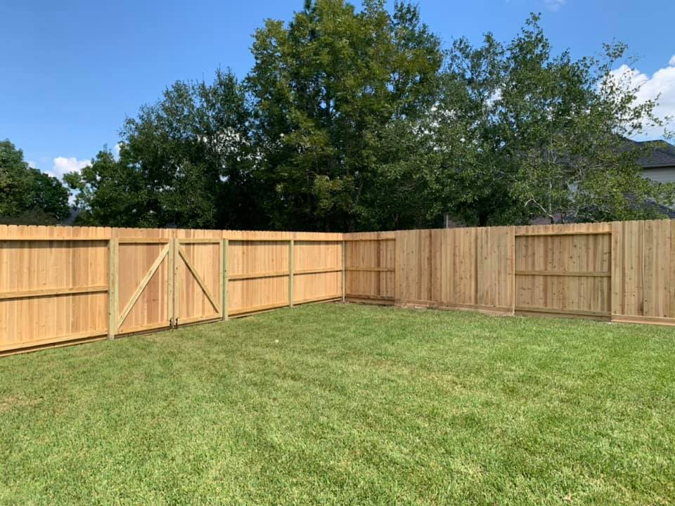 cedar fence